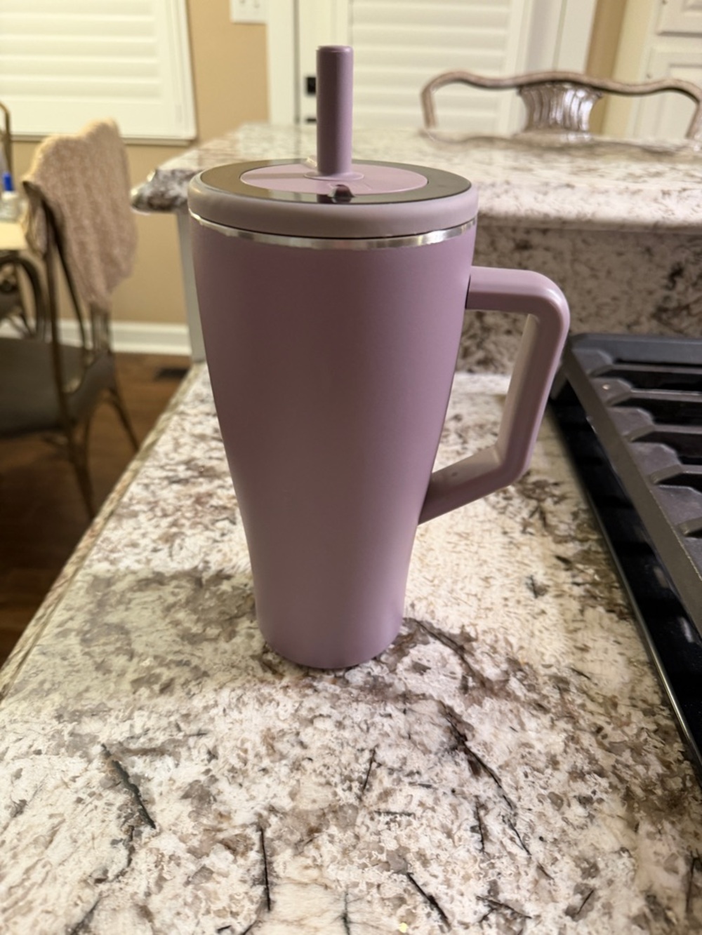 30oz Era Lilac Dusk